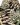 BOSIE MOYO BOTANICAL RUG, GREEN