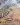 IMG-20210407-WA0056
